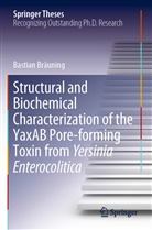 Bastian Bräuning - Structural and Biochemical Characterization of the YaxAB Pore-forming Toxin from Yersinia Enterocolitica