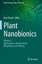 Ra Prasad, Ram Prasad - Plant Nanobionics
