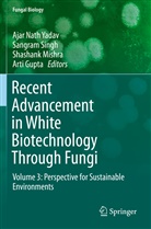 Arti Gupta, Shashank Mishra, Shashank Mishra et al, Sangra Singh, Sangram Singh, Ajar Nath Yadav - Recent Advancement in White Biotechnology Through Fungi