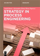 Jord Bonet, Jordi Bonet, Alexandra-Elena Bonet Ruiz, Alexandra-Elena Plesu Popescu - Strategy in Process Engineering