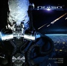 Pulse - Adjusting the Space, 1 Audio-CD (Audio book)