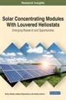 Natalya Filippchenkova, Anatoly Irodionov, D S Strebkov, Dmitry Strebkov - Solar Concentrating Modules With Louvered Heliostats