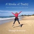 Shelagh Brennand - A Stroke of Poetry