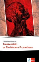 Franziska Heymann - Lektürewortschatz zu Frankenstein or The Modern Prometheus