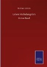 Herman Grimm - Leben Michelangelo's