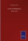 Herman Grimm - Leben Michelangelo's