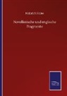 Heinrich Heine - Novellistische und englische Fragmente