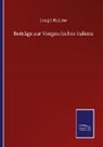 Joseph Rubino - Beiträge zur Vorgeschichte Italiens