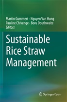 Pauline Chivenge, Pauline Chivenge et al, Boru Douthwaite, Martin Gummert, Nguyen van Hung, Nguye Van Hung... - Sustainable Rice Straw Management