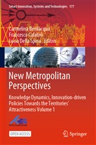 Carmelina Bevilacqua, Francesc Calabrò, Francesco Calabrò, Lucia Della Spina - New Metropolitan Perspectives