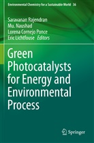 Lorena Cornejo Ponce et al, Eric Lichtfouse, M Naushad, Mu Naushad, Mu. Naushad, Lorena Cornejo Ponce... - Green Photocatalysts for Energy and Environmental Process