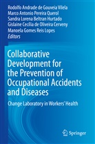 Marc Antonio Pereira Querol, Marco Antonio Pereira Querol, Sandra Lorena Beltran Hurtado, Gislaine Cecília de Oliveira Cerveny, Manoela Gomes Reis Lopes, Lorena Beltran Hurta... - Collaborative Development for the Prevention of Occupational Accidents and Diseases