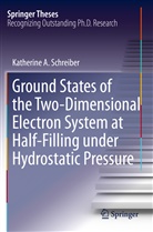 Katherine A Schreiber, Katherine A. Schreiber - Ground States of the Two-Dimensional Electron System at Half-Filling under Hydrostatic Pressure