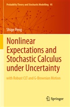 Shige Peng - Nonlinear Expectations and Stochastic Calculus under Uncertainty