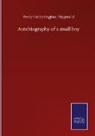 Percy Hetherington Fitzgerald - Autobiography of a small boy