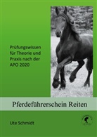Ute Schmidt - Pferdeführerschein Reiten