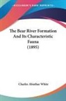 Charles Abiathar White - The Bear River Formation And Its Characteristic Fauna (1895)