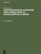 Rudolf Krause - Rudolf Krause: Mikroskopische Anatomie der Wirbeltiere in Einzeldarstellungen - Teil 3: Amphibien