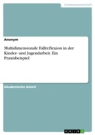 Anonym, Anonymous - Multidimensionale Fallreflexion in der Kinder- und Jugendarbeit. Ein Praxisbeispiel