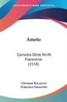 Giovanni Boccaccio, Francesco Sansovino - Ameto