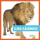 Marie Brandle - Los Leones (Lions)