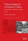 Pedro R. Moya-Maleno - Paleoetnología de la Hispania Céltica. Tomo II