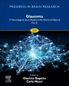 Giacinto (Professsor of Pharmacology Bagetta, Bagetta Giacinto, Carlo (Professor of Ophthalmology Nucci, Nucci Carlo, Vincent (Professor of Human Brain Research Walsh - Glaucoma: A Neurodegenerative Disease of the Retina and Beyond Part B: Volume 257