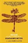 Guadalupe Nettel, Nettel Guadalupe - Bezoar