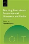 Cajetan Iheka, Cajetan Nwabueze Iheka - Teaching Postcolonial Environmental Literature and Media