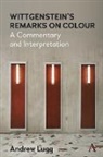 Andrew Lugg - Wittgensteins Remarks on Colour