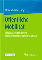 Olive Schwedes, Oliver Schwedes - Öffentliche Mobilität