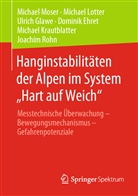 Dominik Ehret, Ulrich Glawe, Ulrich u a Glawe, Michael Krautblatter, Michae Lotter, Michael Lotter... - Hanginstabilitäten der Alpen im System "Hart auf Weich"