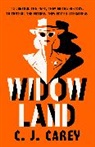 C J Carey, Jane Thynne - Widowland
