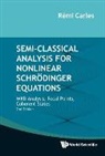 Remi Carles, Rmi Carles, Carles Remi, Remi Carles, Rémi Carles - Semi-classical Analysis For Nonlinear Schrodinger Equations: Wkb Analysis, Focal Points, Coherent States