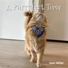Sam Miller - A Purrrfect Time
