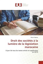Rouini Najoua - Droit des sociétés à la lumière de la législation marocaine