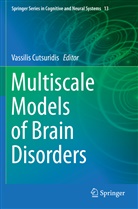 Vassili Cutsuridis, Vassilis Cutsuridis - Multiscale Models of Brain Disorders