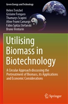 Gislain Fongaro, Gislaine Fongaro, Aline Frumi Camargo, Thamary Scapini, Thamarys Scapini, Fábio Spitza Stefanski... - Utilising Biomass in Biotechnology