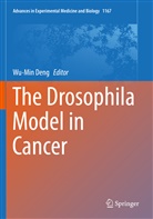 Wu-Mi Deng, Wu-Min Deng - The Drosophila Model in Cancer