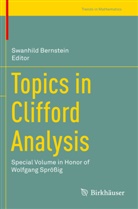 Swanhil Bernstein, Swanhild Bernstein - Topics in Clifford Analysis