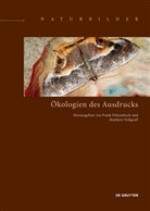 Fran Fehrenbach, Frank Fehrenbach, Vollgraff, Vollgraff, Matthew Vollgraff - Ökologien des Ausdrucks