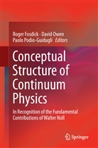 Roger Fosdick, Davi Owen, David Owen, Paolo Podio-Guidugli - Conceptual Structure of Continuum Physics