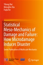 Yilon Bai, Yilong Bai, Fujiu Ke, Mengfe Xia, Mengfen Xia - Statistical Meso-Mechanics of Damage and Failure: How Microdamage Induces Disaster