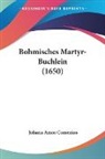 Johann Amos Comenius - Bohmisches Martyr-Buchlein (1650)