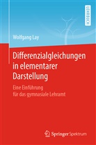 Wolfgang Lay - Differenzialgleichungen in elementarer Darstellung