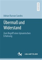 Adrian Razvan Sandru - Übermaß und Widerstand