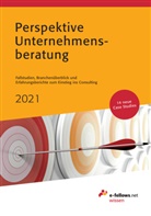 Thoma Fritz, Thomas Fritz, Michael Hies, Nina Tiessen - Perspektive Unternehmensberatung 2021