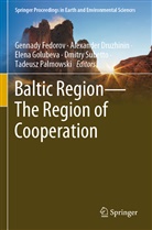 Alexande Druzhinin, Alexander Druzhinin, Gennady Fedorov, Elena Golubeva, Elena Golubeva et al, Tadeusz Palmowski... - Baltic Region-The Region of Cooperation