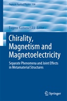 Eugen Kamenetskii, Eugene Kamenetskii - Chirality, Magnetism and Magnetoelectricity