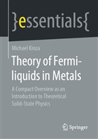 Michael Kinza - Theory of Fermi-liquids in Metals